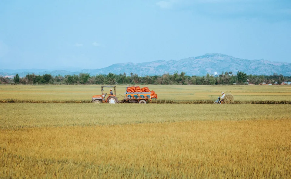 Kho gạo của Huỳnh Thị Ái Liên